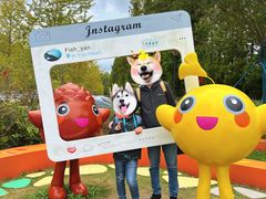 -黄海国家森林公园