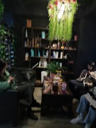 点击看大图 -藤野造型