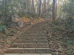 -九曜山