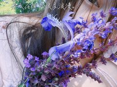 -汉长安城未央宫国家考古遗址公园