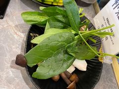 -一绪に寿喜烧(虹悦城店)