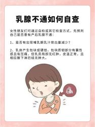 -紫琪尔胸部养护中心