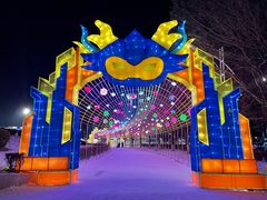 -沈阳奥体冰雪嘉年华