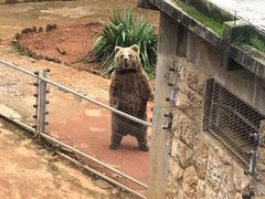 -昆明动物园