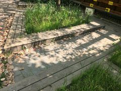 -大宁国际幼儿园(永和东路)