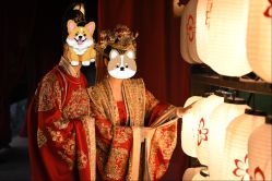 -金夫人婚纱摄影(总店)