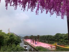 -苏州太湖西山岛开心农场