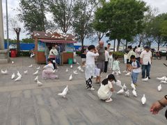 -天津妈祖文化园