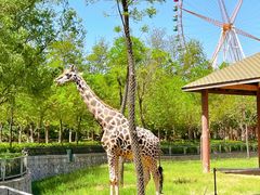 -石家庄市动物园