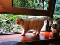 -咖法森林·咖啡  酒吧(天河店)