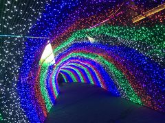 -碧桂园泰富城售楼部