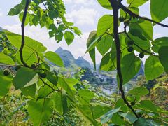 -靖西鹅泉风景区