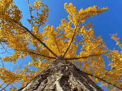 -永定河休闲森林公园