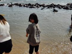 -广东惠东海龟国家级自然保护区