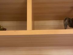 -力力渔港涉外店