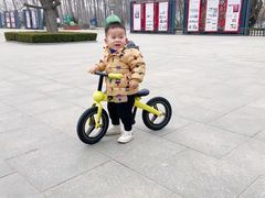 -稚马儿童平衡车自行车俱乐部