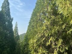 -青州市云门山风景区