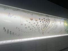 -香港科学馆