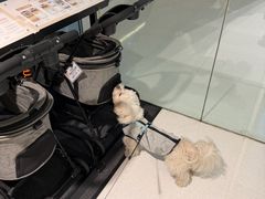 -沈阳铁西万象汇