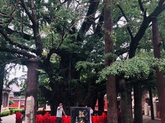 -浮来山风景区