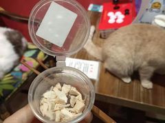 -猫色咖啡·猫咖