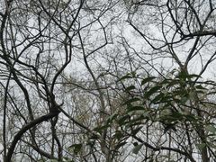 -幕燕滨江·燕子矶公园