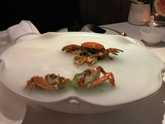 -苏浙总会(国金中心店)