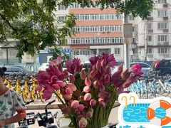 -知春路(地铁站)
