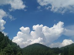 -武陵山森林公园