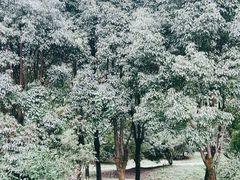 -贵阳市花溪国家城市湿地公园