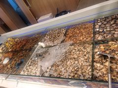 -藜爱·山海情海鲜自助(万达广场店)