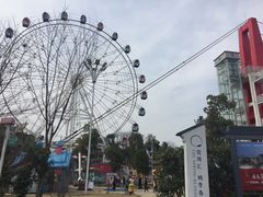 -花博汇(知音花月夜)