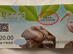 -昆明动物园