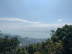 -东部华侨城