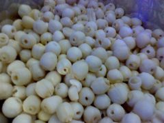 -鲜芋仙(苏州干将店)