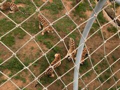 -西霞口神雕山野生动物世界