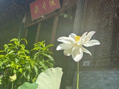 -天台山景区