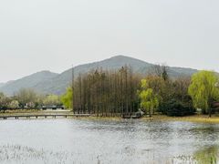 -长广溪湿地公园
