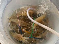 -粮心小农·大头虾亲子生态园(长发店)
