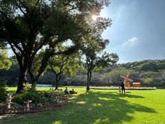 -苏州上方山国家森林公园