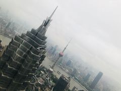 -The lounge 柏悦酒店大堂酒廊(上海环球金融中心店)