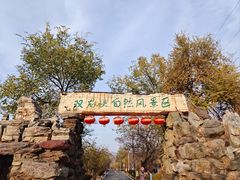 -双龙峡
