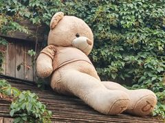 -五道营胡同