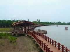 -东寨港红树林旅游区