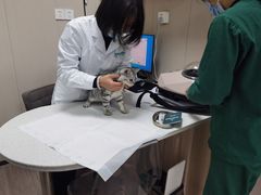 -派特宠物医院(海岸城店)