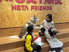 -和它·交个朋友·狗咖猫咖(爱琴海店)
