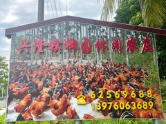 -兴隆槟榔园休闲农庄