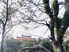 -龙虎山世界地质公园博物馆