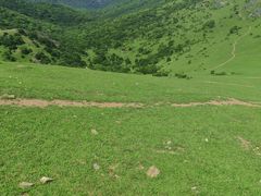 -大姆山草场