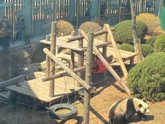 -大连森林动物园